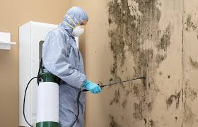 Best Residential Mold Inspection & Testing  in USA